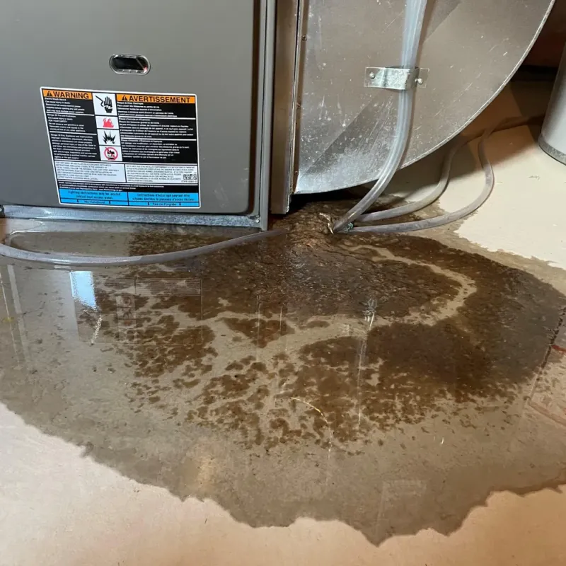 Appliance Leak Cleanup in Siletz, OR